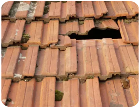 Fuite Toiture Mise Hors D'eau Niort Deux-Sèvres