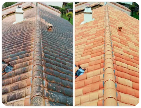 Antimousse et hydrofuge de toiture à Niort Deux-Sèvres