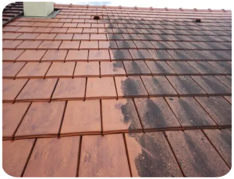 Nettoyage de toiture Niort Deux-Sèvres