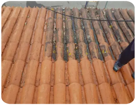 Démoussage de toiture Niort Deux-Sèvres