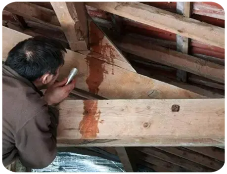 Fuite Toiture Couvreur Niort Deux-Sèvres