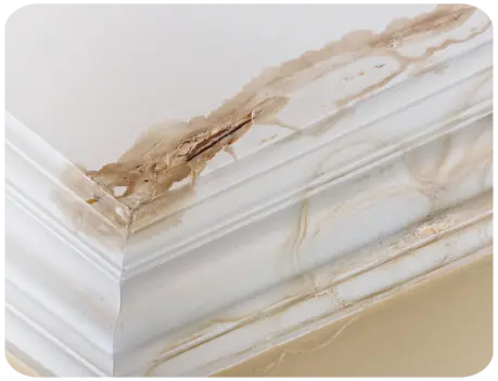 Infiltration d'eau toiture Niort Deux-Sèvres